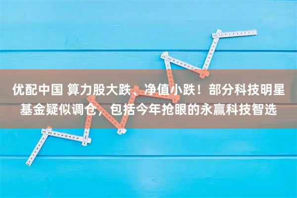 优配中国 算力股大跌、净值小跌！部分科技明星基金疑似调仓，包括今年抢眼的永赢科技智选