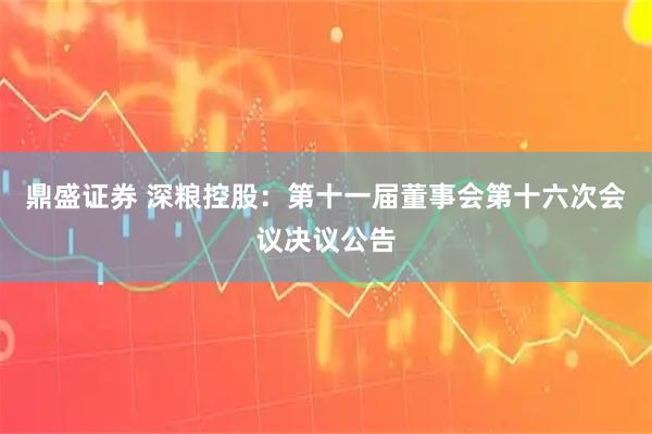 鼎盛证券 深粮控股：第十一届董事会第十六次会议决议公告