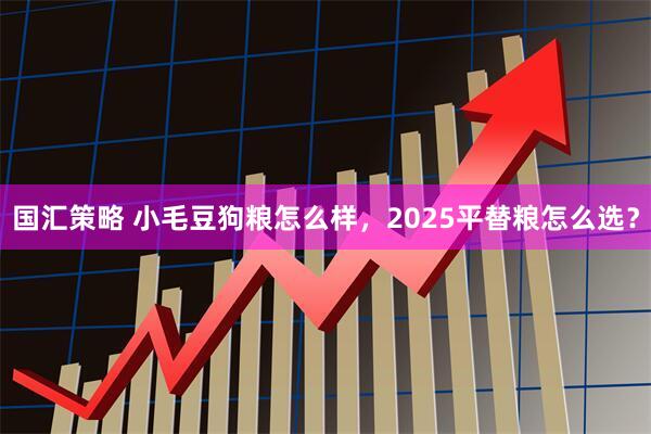 国汇策略 小毛豆狗粮怎么样，2025平替粮怎么选？